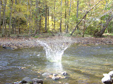 DSC07856.JPG
