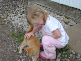 DSC09416.JPG