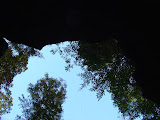DSC09589.JPG