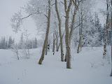 PC260101.JPG