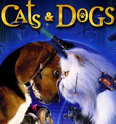 [CatsDogsWhosSmarter3.jpg]