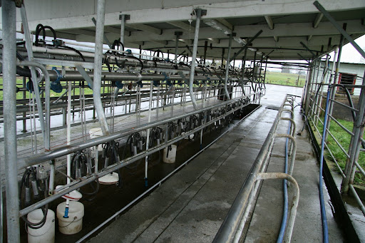 penis milkingmachine men