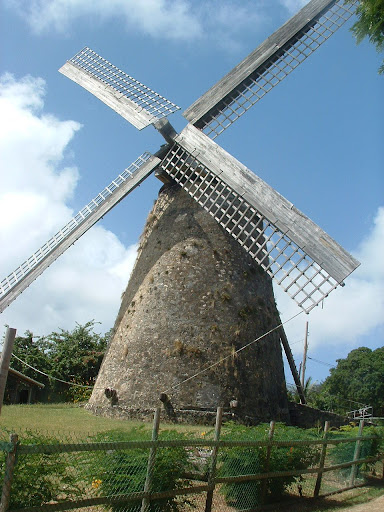 Barbados%20115.jpg