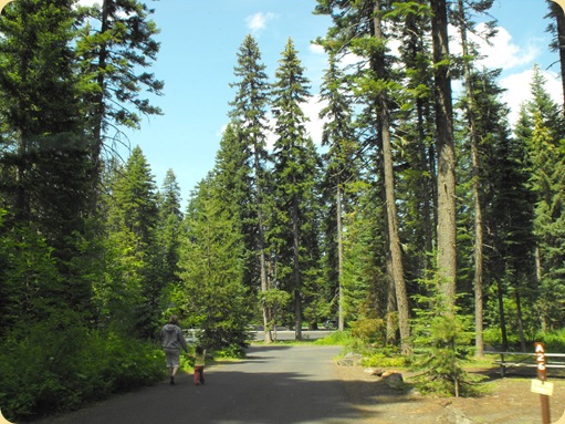 Drive to Emigrant Springs State Park, OR 374