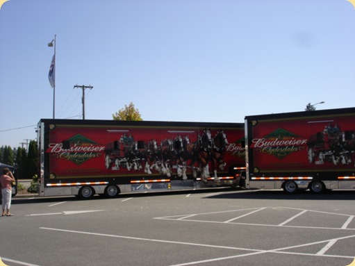 Budweiser Clydesdales at McChord AFB, WA 015