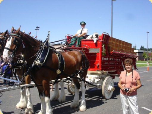 Budweiser Clydesdales at McChord AFB, WA 013
