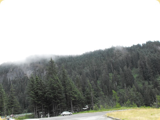 Mt. Rainier National Park 144