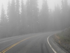 [Mt. Rainier National Park 192[2].jpg]