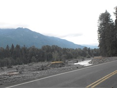 [Mt. Rainier National Park 246[2].jpg]