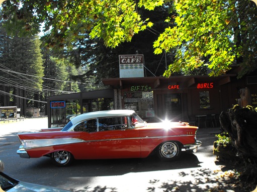 Avenue of the Giants-Ancient Redwoods 056