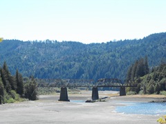 [Avenue of the Giants-Ancient Redwoods 084[2].jpg]