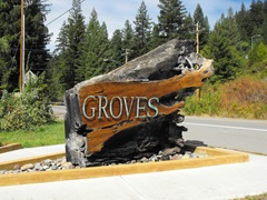 [Avenue of the Giants-Ancient Redwoods 156[2].jpg]