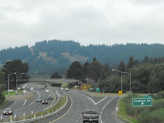 [Avenue of the Giants-Ancient Redwoods 221[2].jpg]
