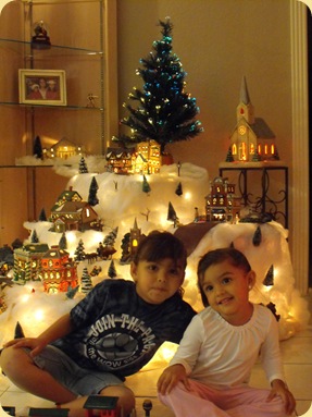 Christmas 2009 Decor 015