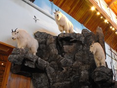 [Bass Pro Shop 09 009[2].jpg]