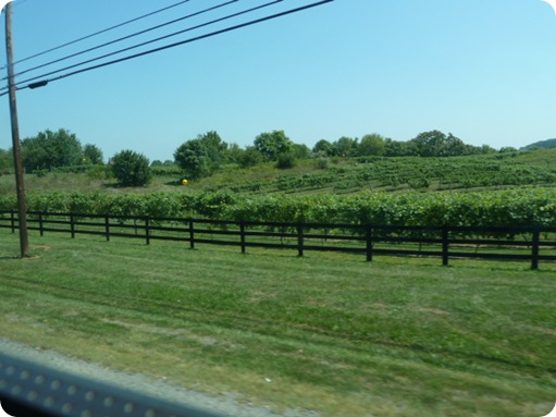 Drive to Gettysburg, PA 024