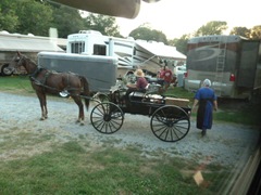 [Amish Visit to Park 007[2].jpg]