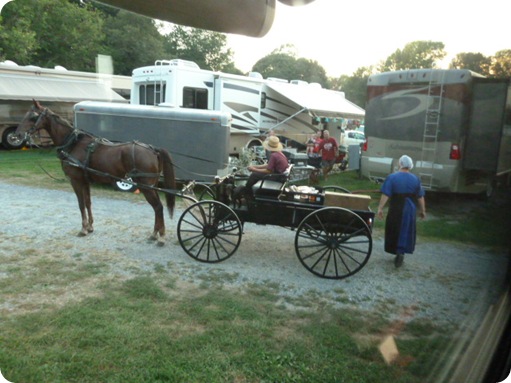 Amish Visit to Park 007