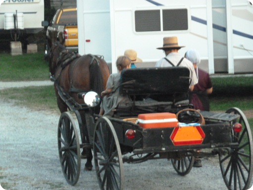 Amish Visit to Park 057