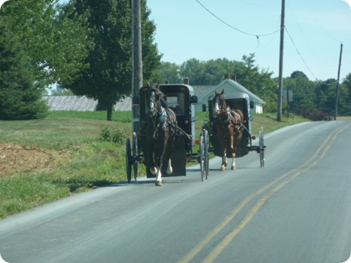 The Amish Village 242
