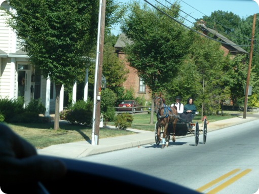 The Amish Village 231