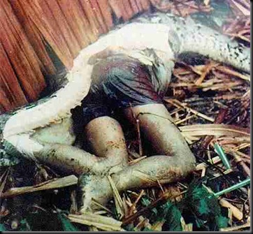 snake3