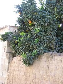 [IMG_09844.jpg]