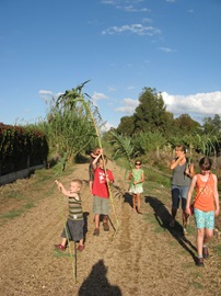 [IMG_09873.jpg]
