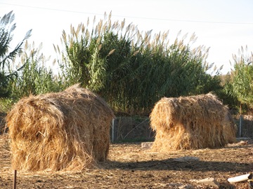 [IMG_09913.jpg]