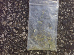 Found in the Publix parking lot. Lose Something?