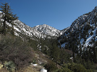 Cucamonga Wilderness