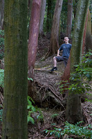 Dylan in the woods of Nanzen-ji Photo Dylan in the woods of Nanzen-ji Photo