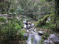 Bridge at Winter Creek Photo