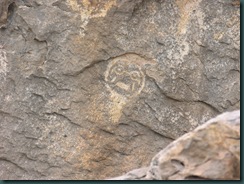 P6275416