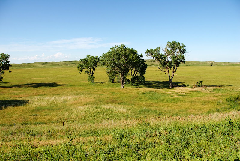 External inline image provided by member with no explanatory text