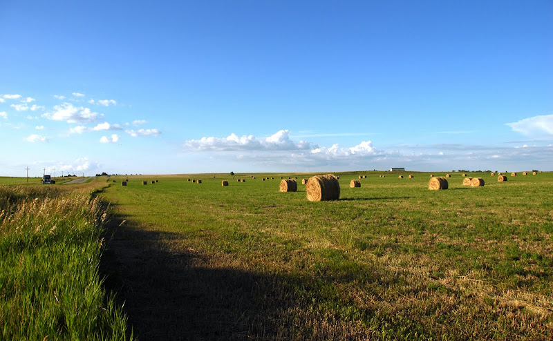 External inline image provided by member with no explanatory text