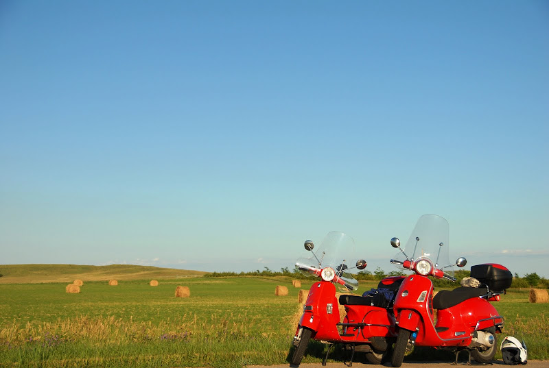 External inline image provided by member with no explanatory text