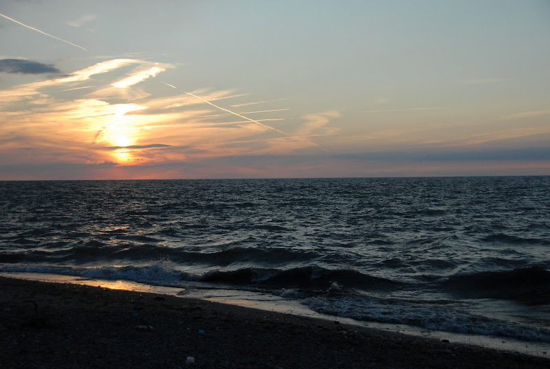 External inline image provided by member with no explanatory text