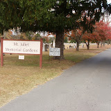 Mt Juliet