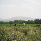 Scenes around where the James Gleaves Turk family lived
Waynesboro, Virginia