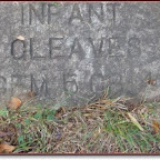 Infant Gleaves