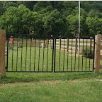 Gleaves Family Cemetery at The Willow.   Family home place