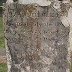 Elizabeth Gleaves