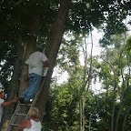 George places the Micheal Gleaves sign high to avoid being stolen or damaged.