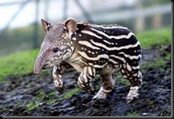 image023 image023