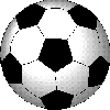 [soccer_ball_spins[3].gif]