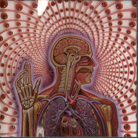 Lateralus3 Lateralus3