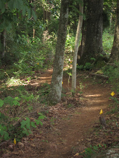 IMG_3743.jpg