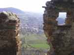 IMGP0120.JPG