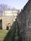 IMGP0121.jpg